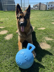 Jolly Pets Tug-N-Toss puncture-resistant toy designed for longer play