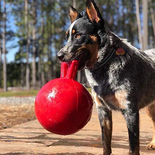 Jolly Pets Tug-n-Toss red ball ready for fetch and water fun.