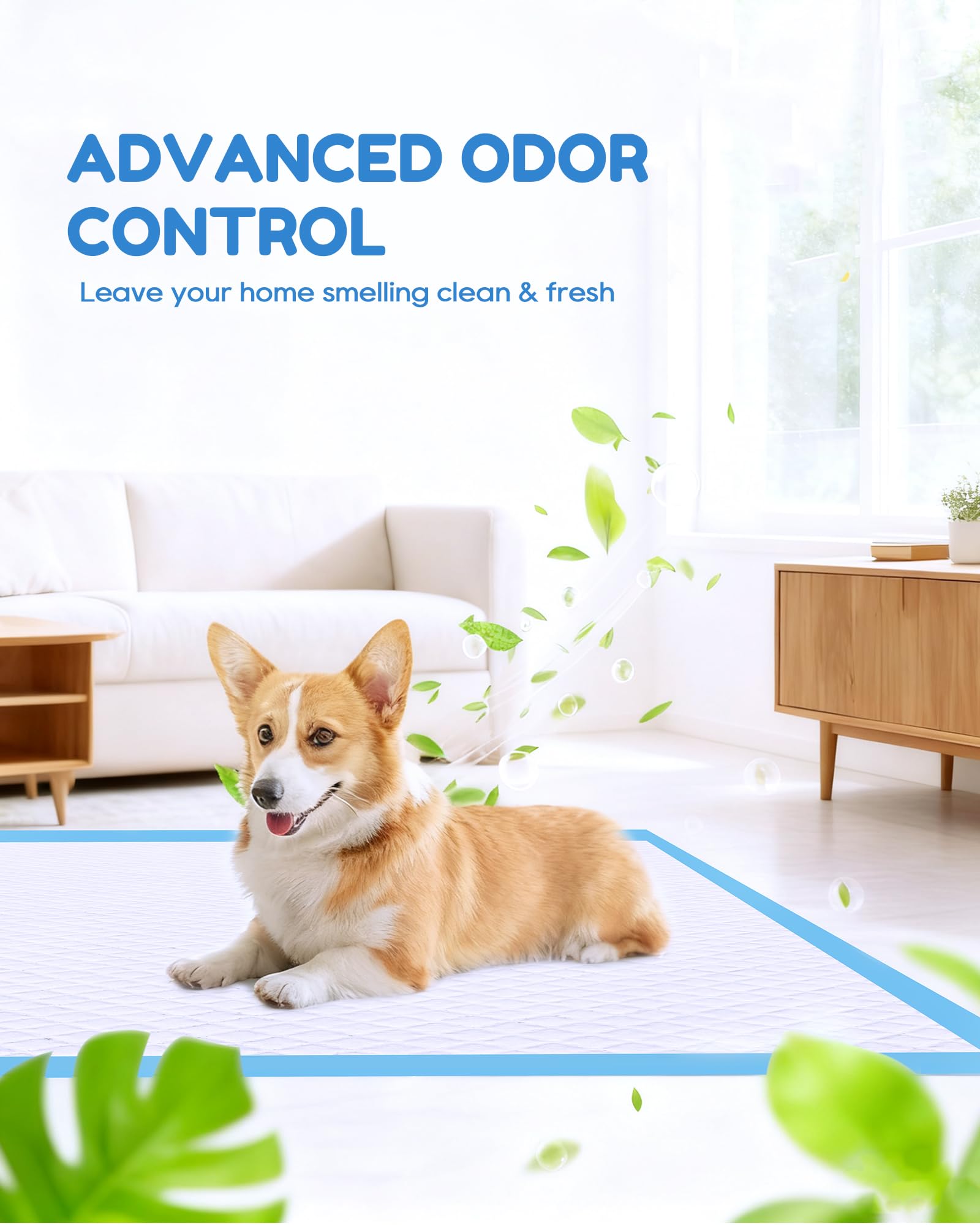 Jolly Care deodorant boosted pad helps maintain a fresh home