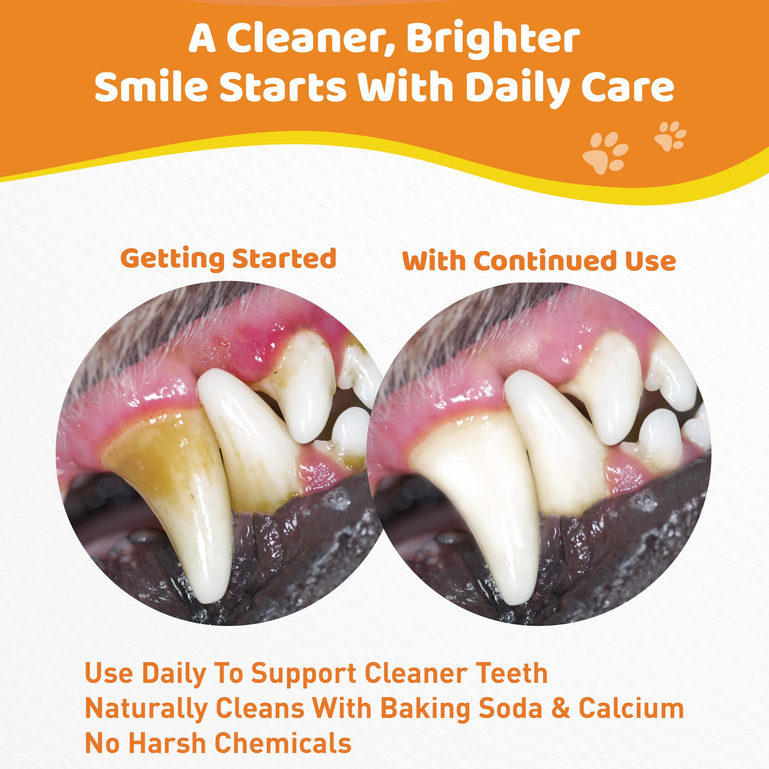 Jollyfit dog teeth cleaning powder bottle being poured to show daily use.