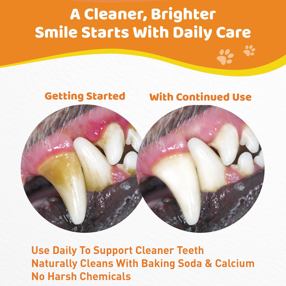 Jollyfit dog teeth cleaning powder bottle being poured to show daily use.