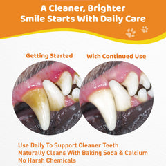 Jollyfit dog teeth cleaning powder bottle being poured to show daily use.