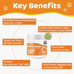 Jollyfit dog teeth cleaning powder scoops close-up highlighting convenient 60-scoop jar.