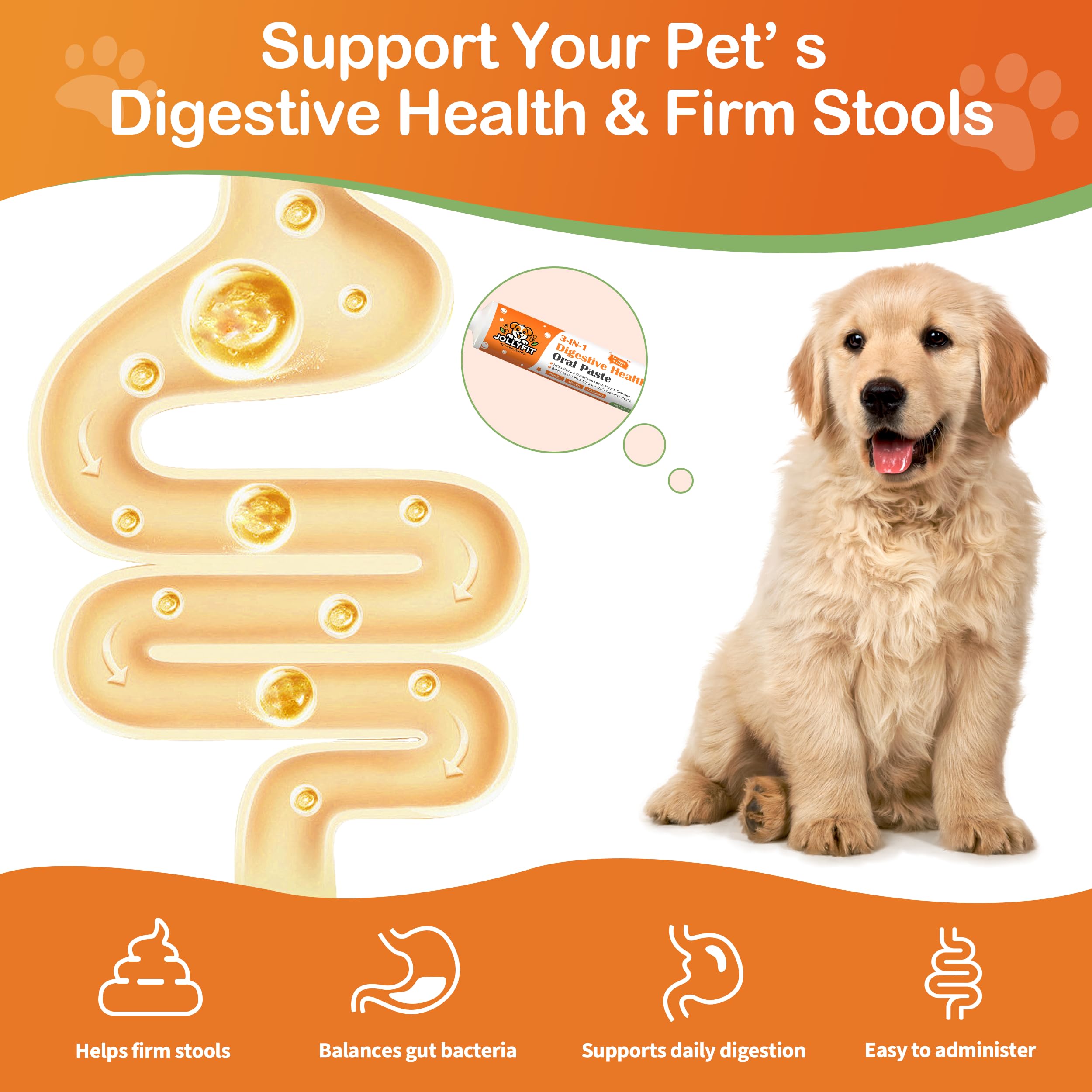 Jollyfit enterococcus faecium probiotic paste label emphasizes gut balance.