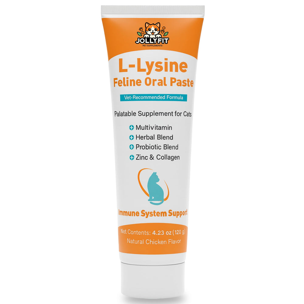 Jollyfit L-Lysine for Cats paste bottle with label showing health benefits.