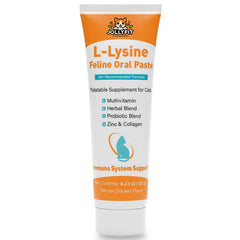 Jollyfit L-Lysine for Cats paste bottle with label showing health benefits.