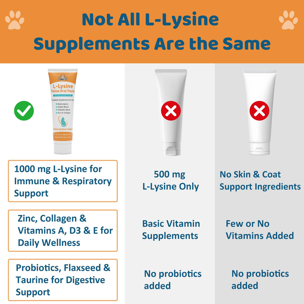 Cat paw with Jollyfit L-Lysine paste, simple administration.