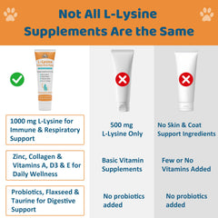 Cat paw with Jollyfit L-Lysine paste, simple administration.