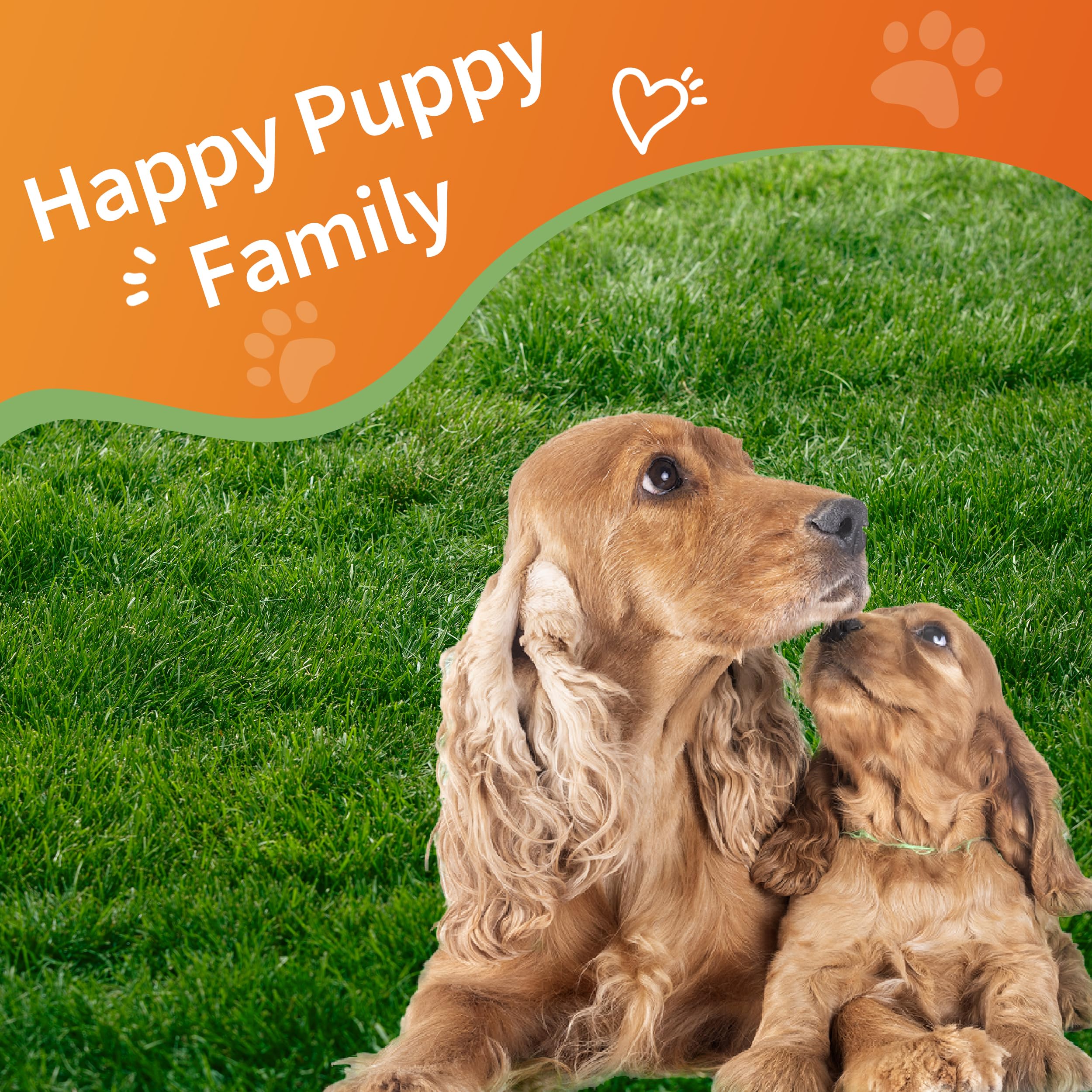 Jollyfit nursing mother pet depicts easy post-birth recovery aid
