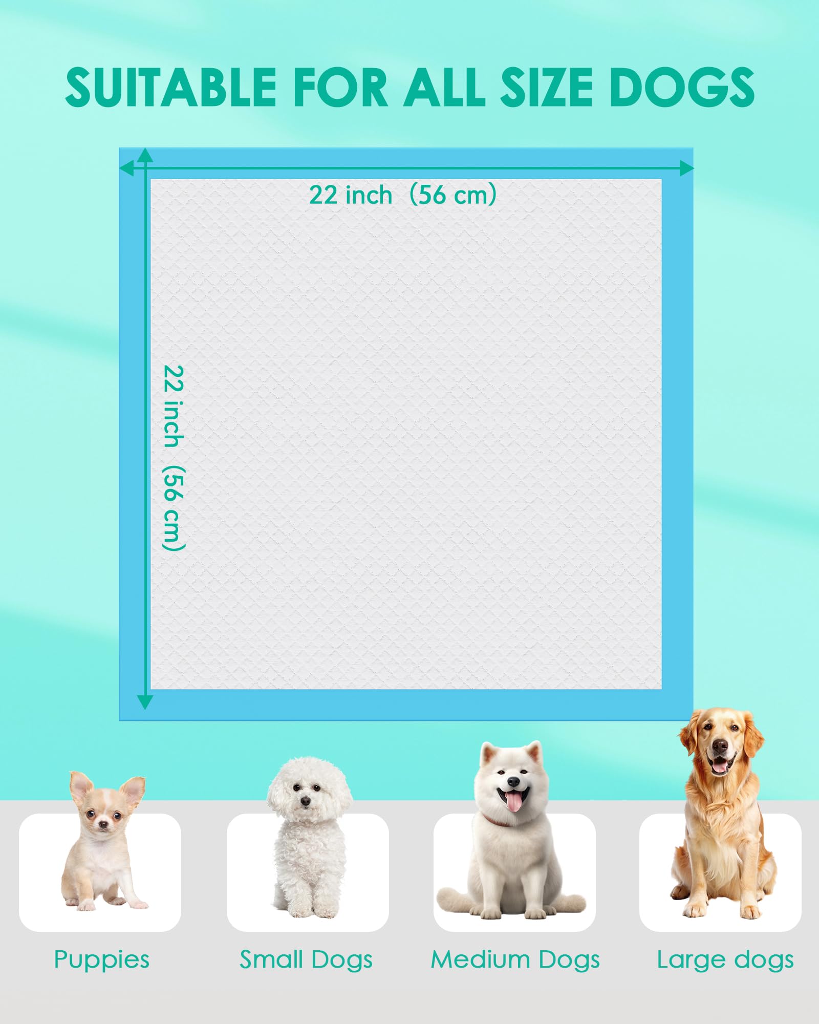 JollyMate Punny Pee Pads five-layer absorption for quick moisture lock.