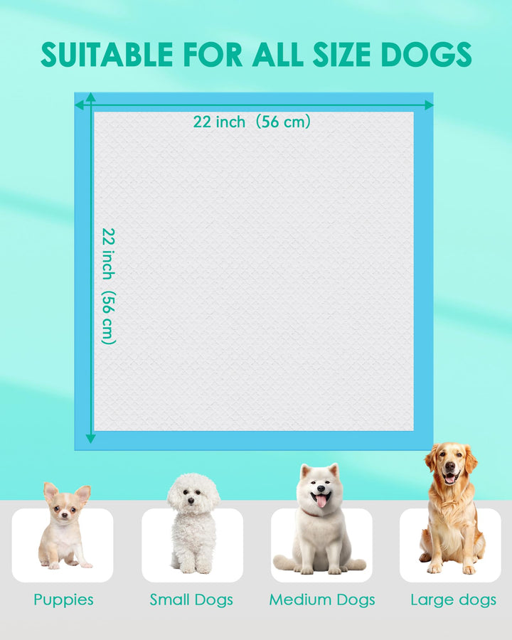 JollyMate Punny Pee Pads five-layer absorption for quick moisture lock.