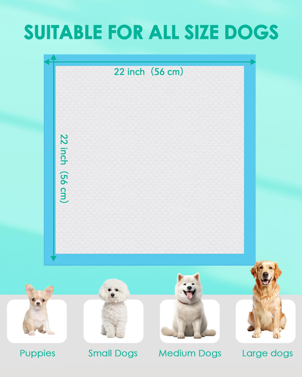 JollyMate Punny Pee Pads five-layer absorption for quick moisture lock.
