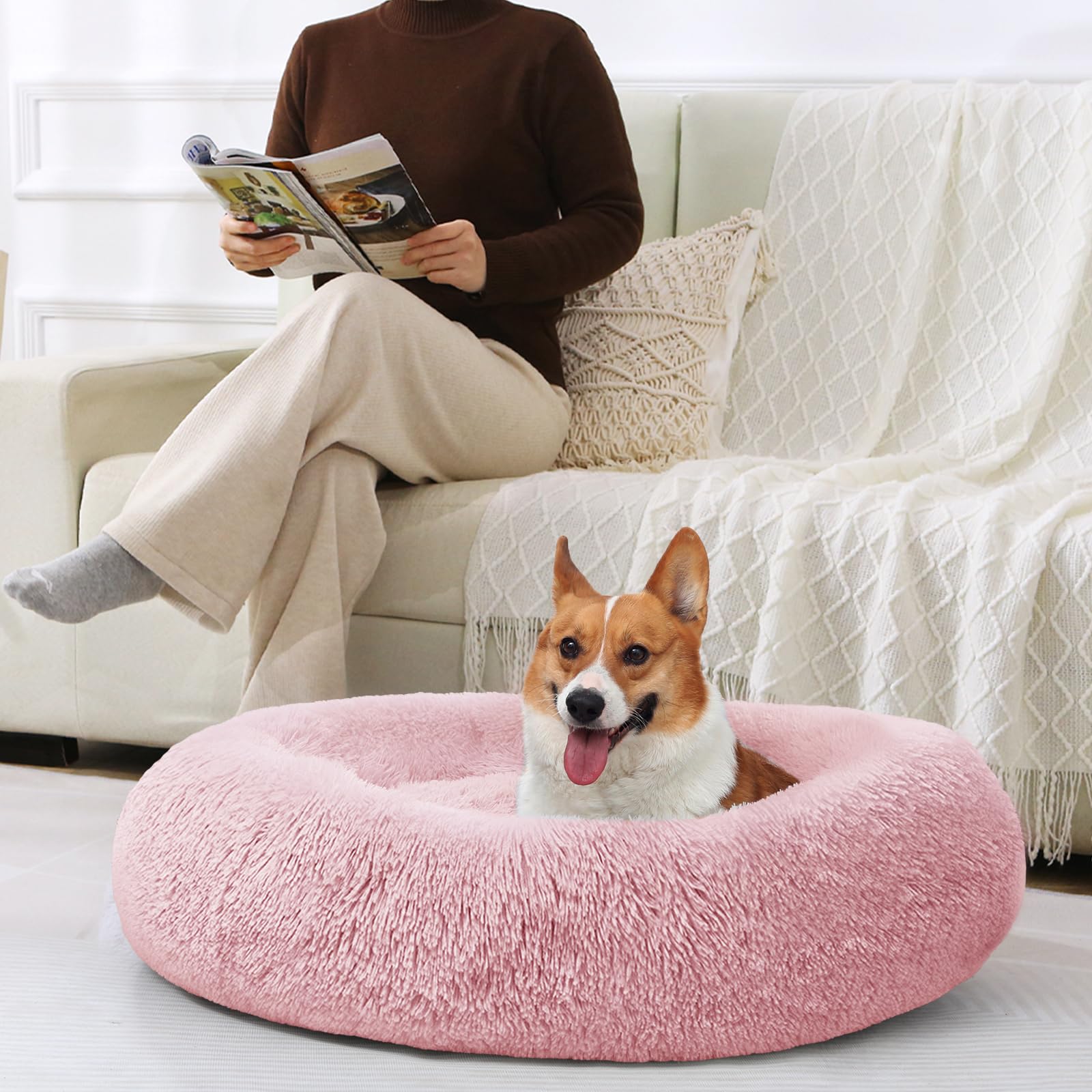 JOLLYVOGUE 23-inch donut bed dimension suits small to medium pets.