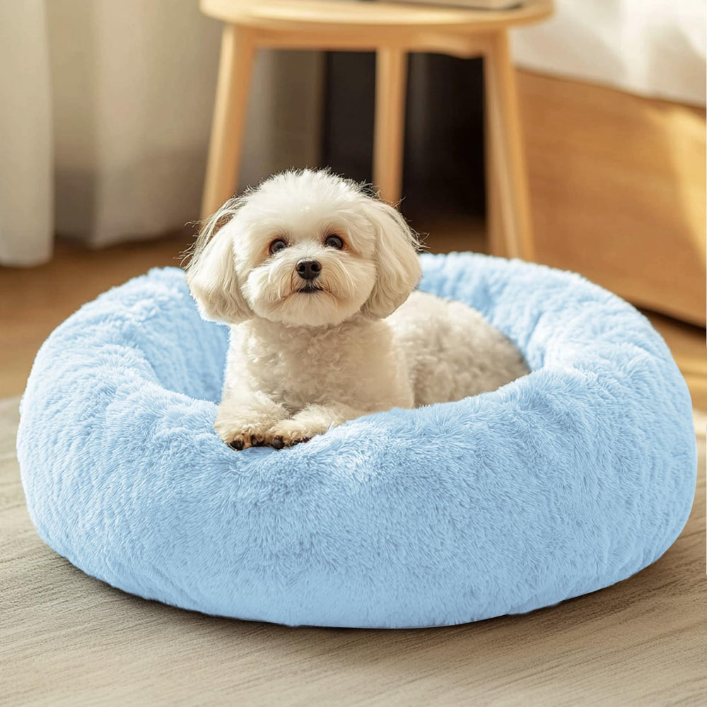 JOLLYVOGUE donut bed front view shows a cozy resting spot for pets.