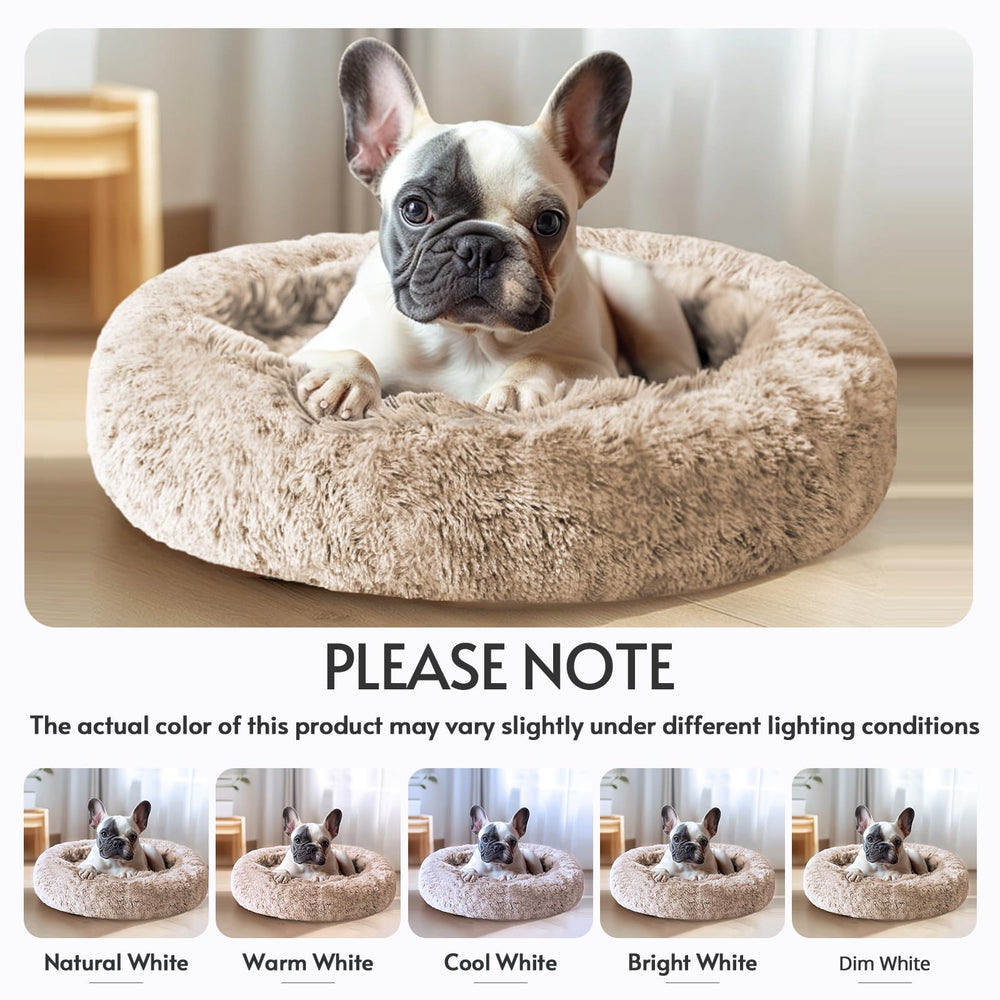 JOLLYVOGUE bed fits kittens and small dogs with cozy comfort.