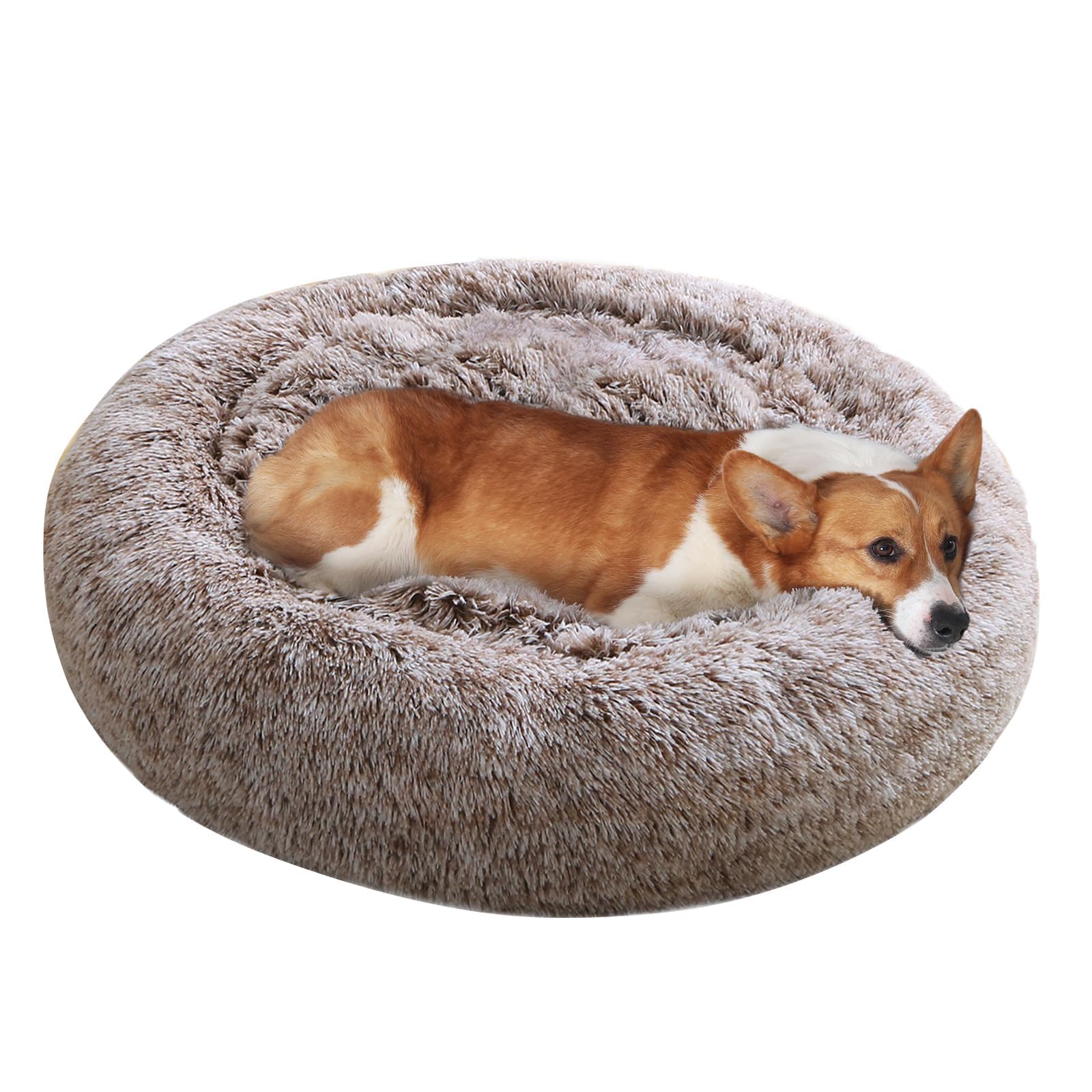 JOLLYVOGUE donut bed with non-slip bottom stays in place during play