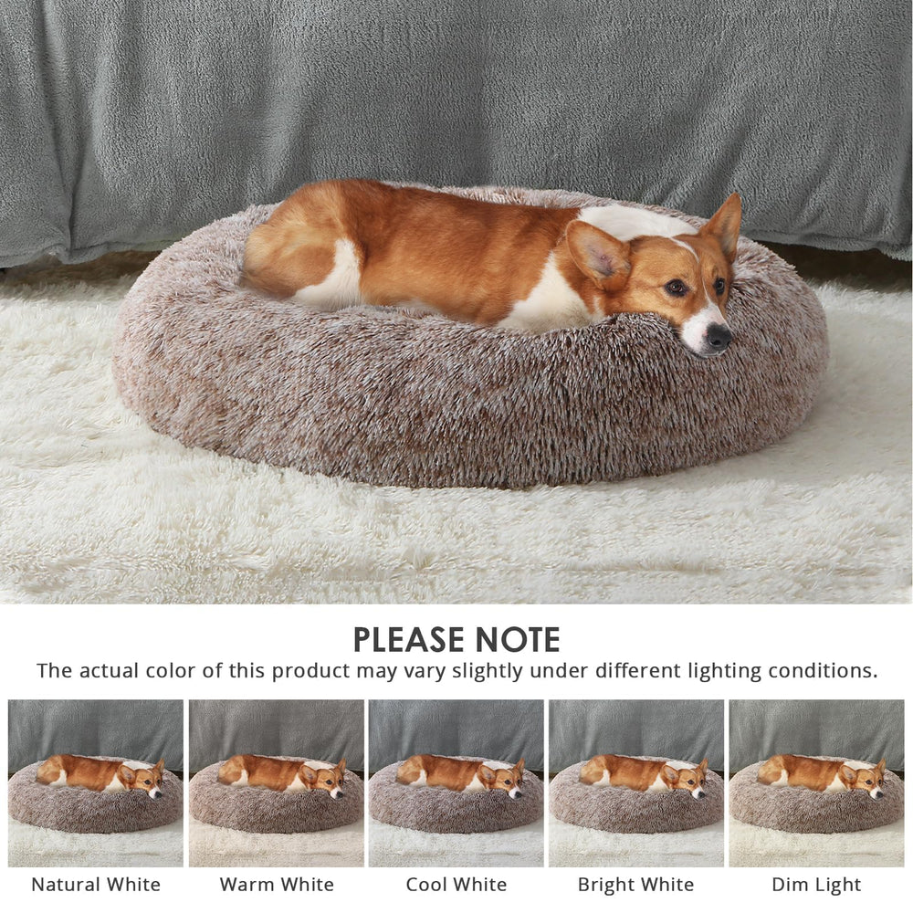 Great for small to medium dogs and cats up to 50 lb.