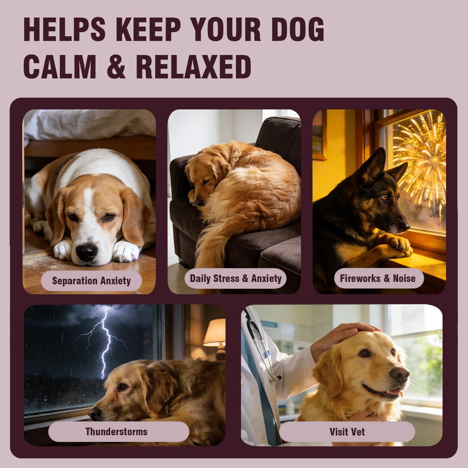 Jomielerr Calming Chews in a dog bowl image suggest easy mealtime calm.