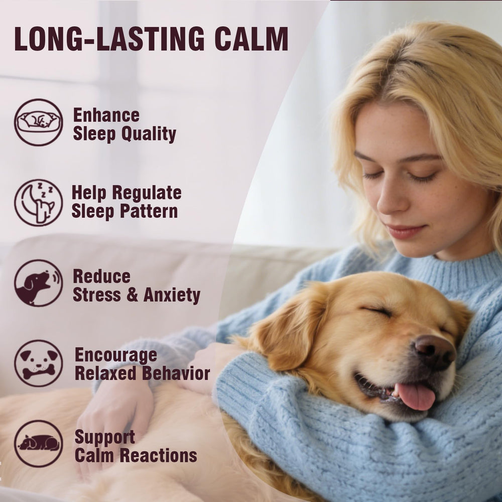 Jomielerr Calming Chews paw scene conveys steady daily relief for pets.