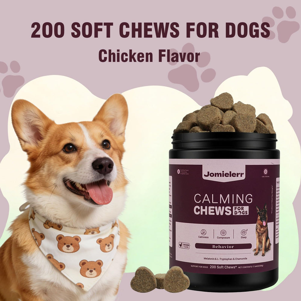 Jomielerr Calming Chews stress scenario image encourages confident handling of events.