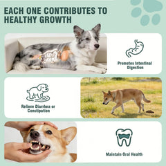 Jomielerr chicken-flavor probiotic chews ideal for daily dosing.