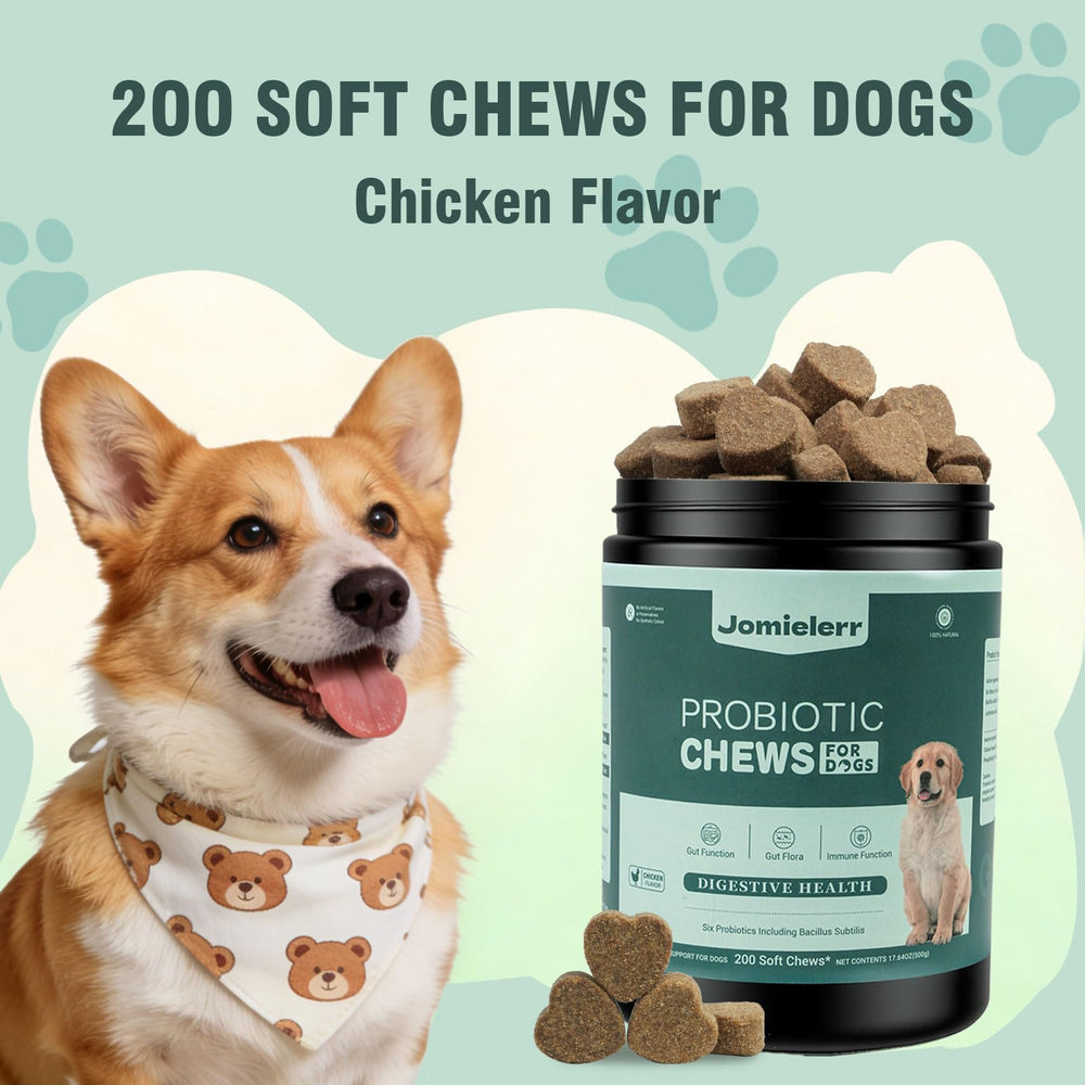 Probiotics bottle beside dog food bowl on table.
