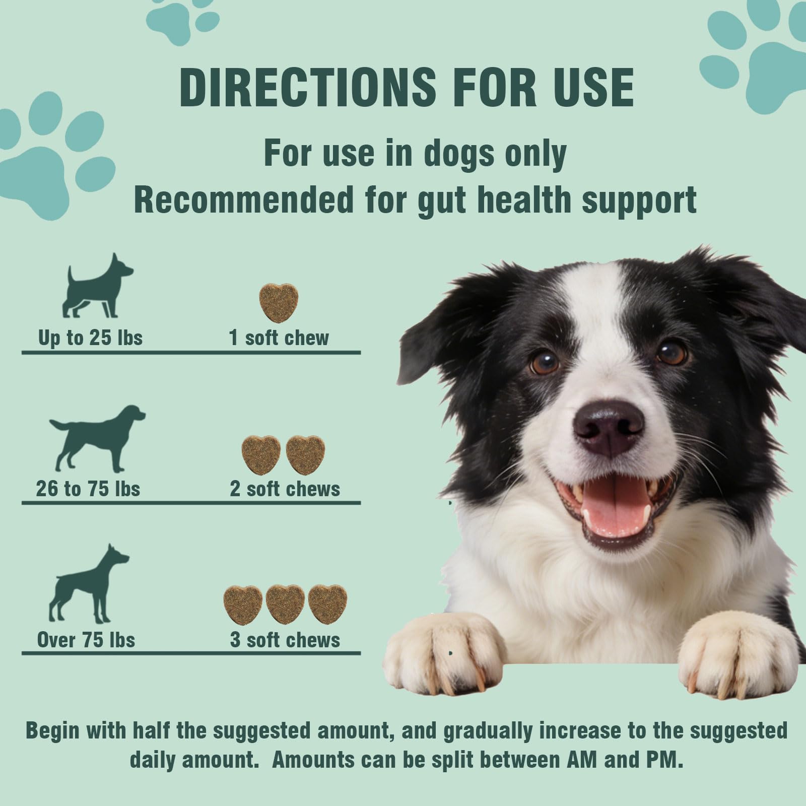 Illustration shows puppies and dogs benefiting from probiotics.