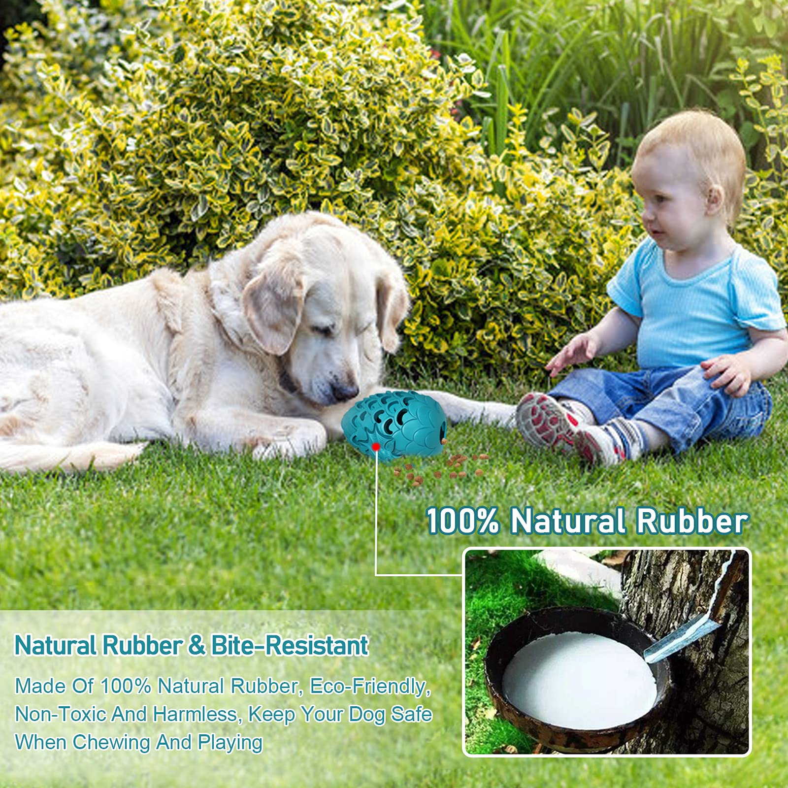 Jomilly Dragon Egg engineered for safety with non-toxic rubber.