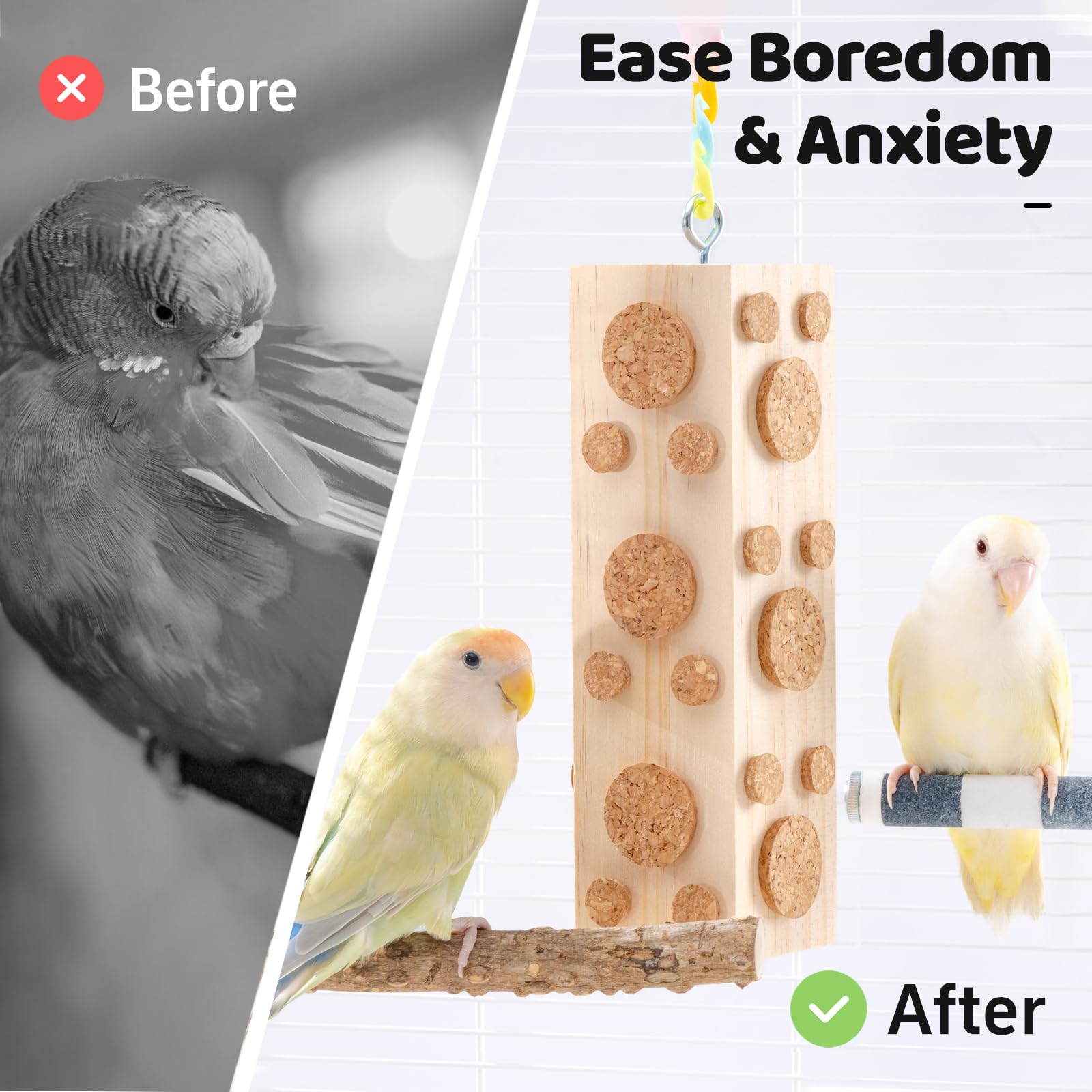 JONS NTY multi-layer cork design supports exploration and problem solving.