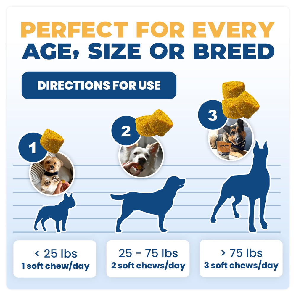 Older dog enjoys Jope hip joint chew, supporting mobility on walks.