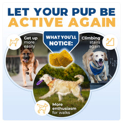Close-up of Jope hip joint dog chews texture highlights palatability for dogs.
