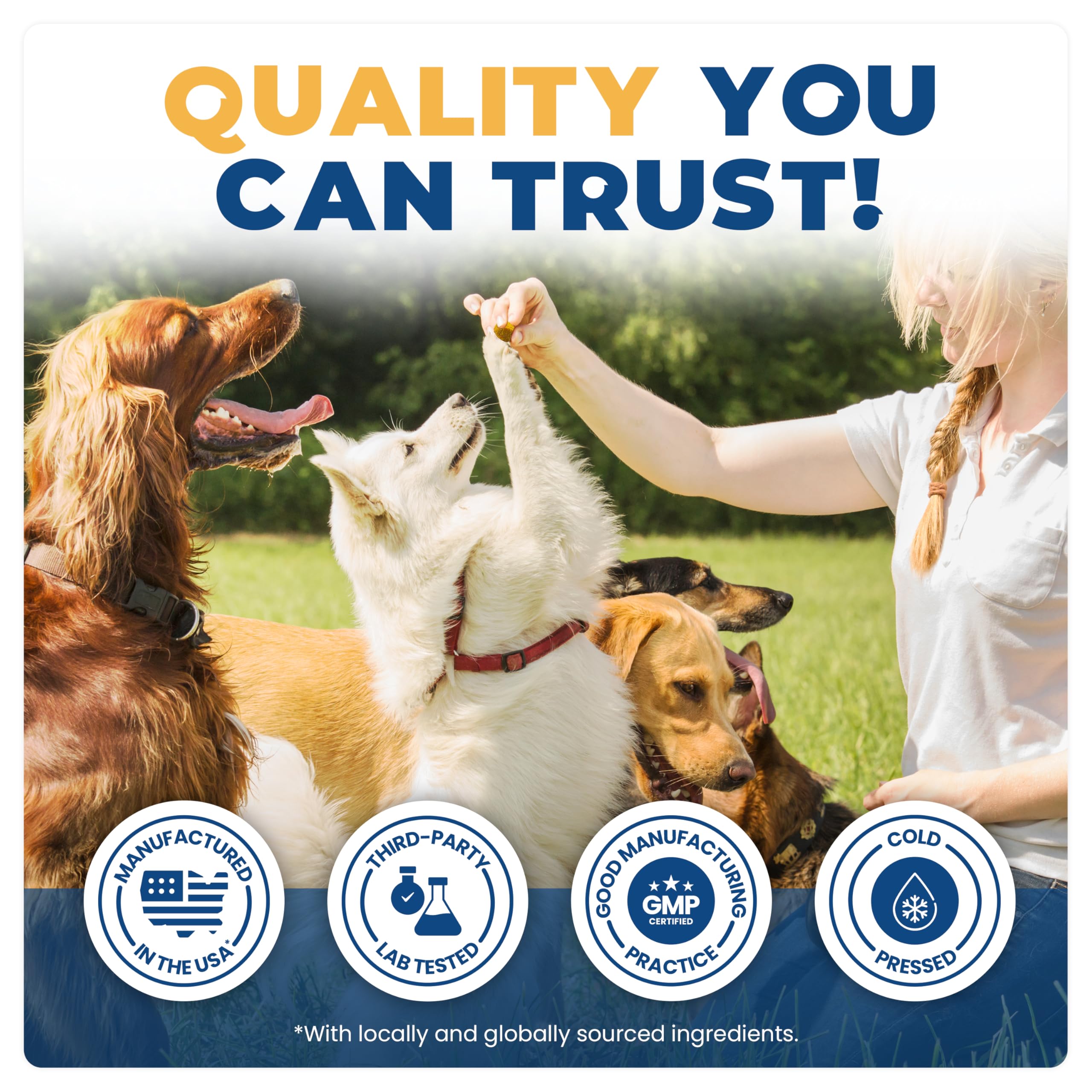 Jope hip joint chews in bowl show easy serving option.