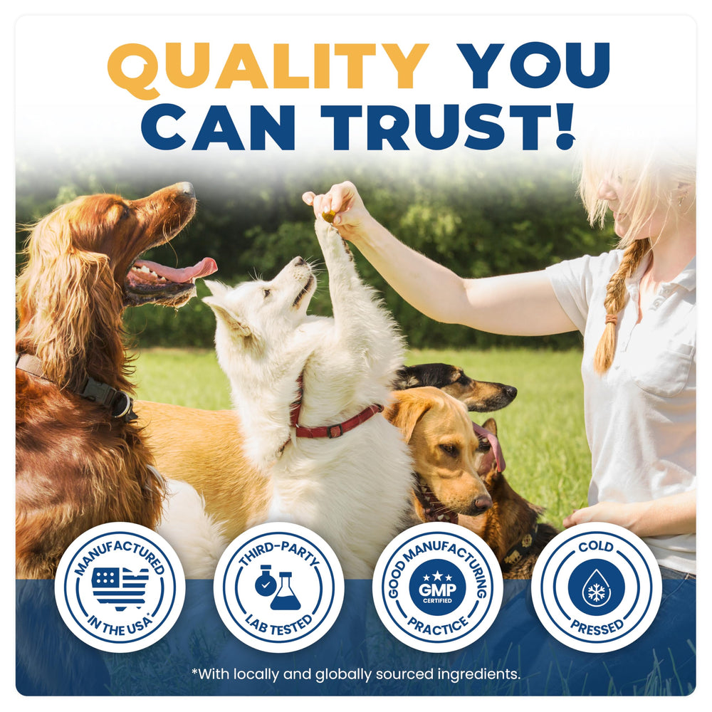 Jope hip joint chews in bowl show easy serving option.