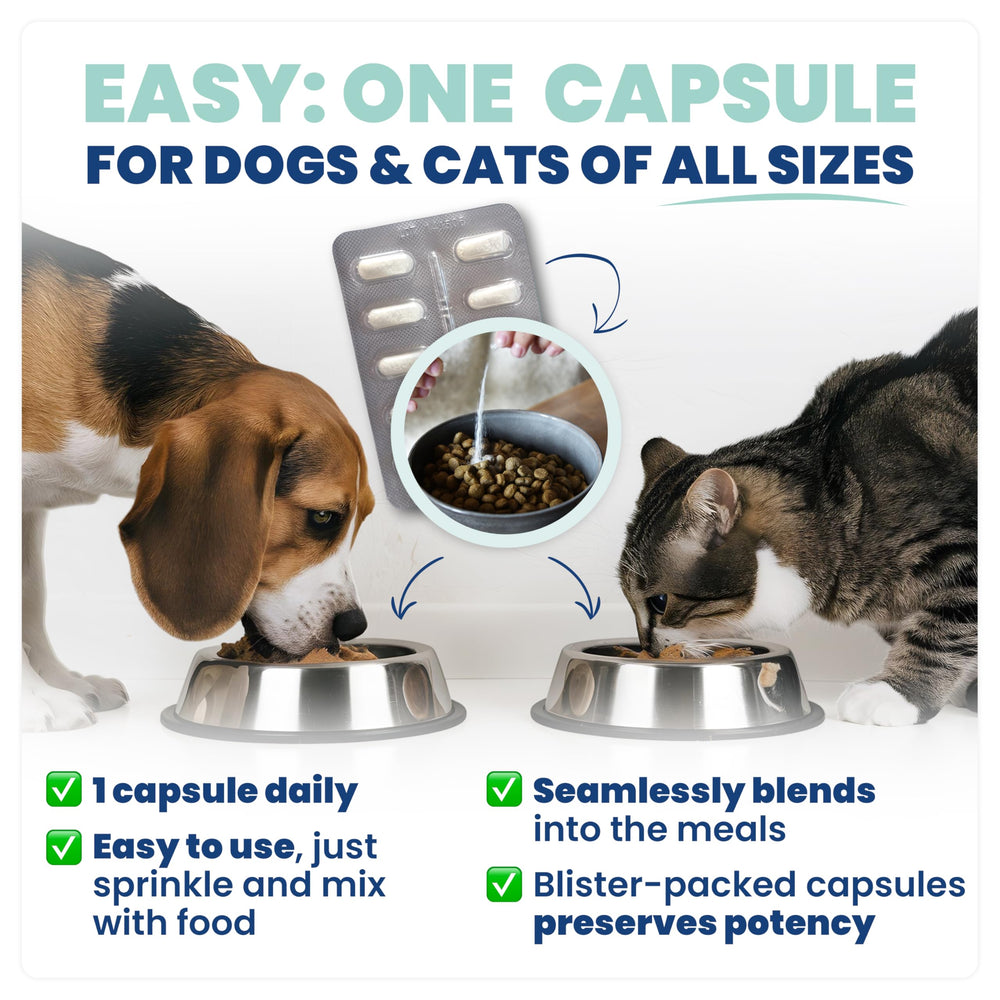 Jope Synbiotic GB-01 supports healthy digestion and stool quality in pets.