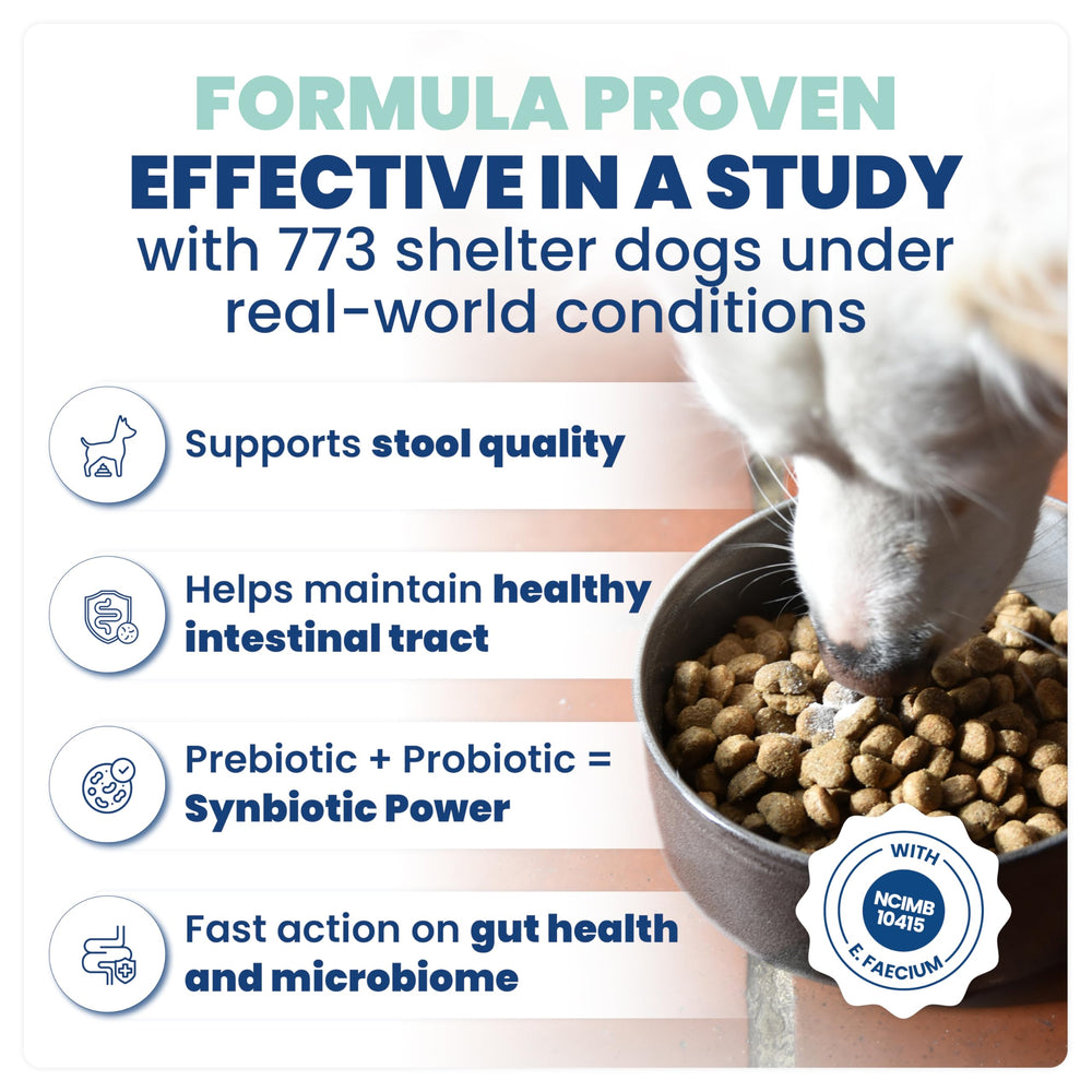 Jope Synbiotic GB-01 EFSA-authorized strain signals safe gut support for pets.