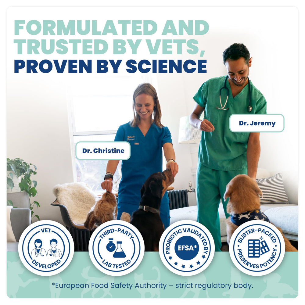 Jope Synbiotic GB-01 veterinarian-formulated blend, crafted for pet gut health.