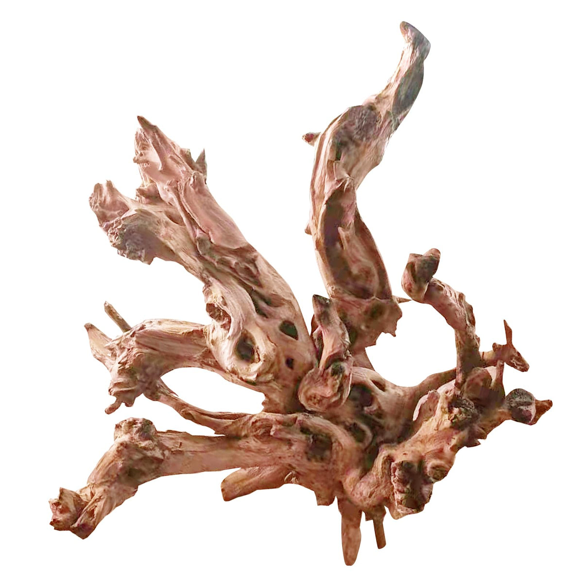 Jorewood driftwood twisted branch for aquarium habitat and hiding spots.