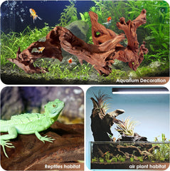 Jorewood driftwood terrarium use with caves and basking areas.