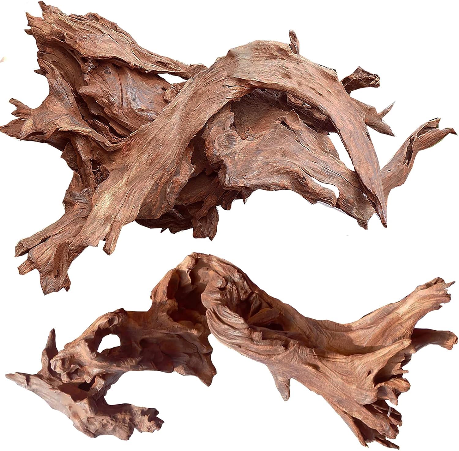Jorewood driftwood twisted branches in aquarium create natural climbing surfaces.