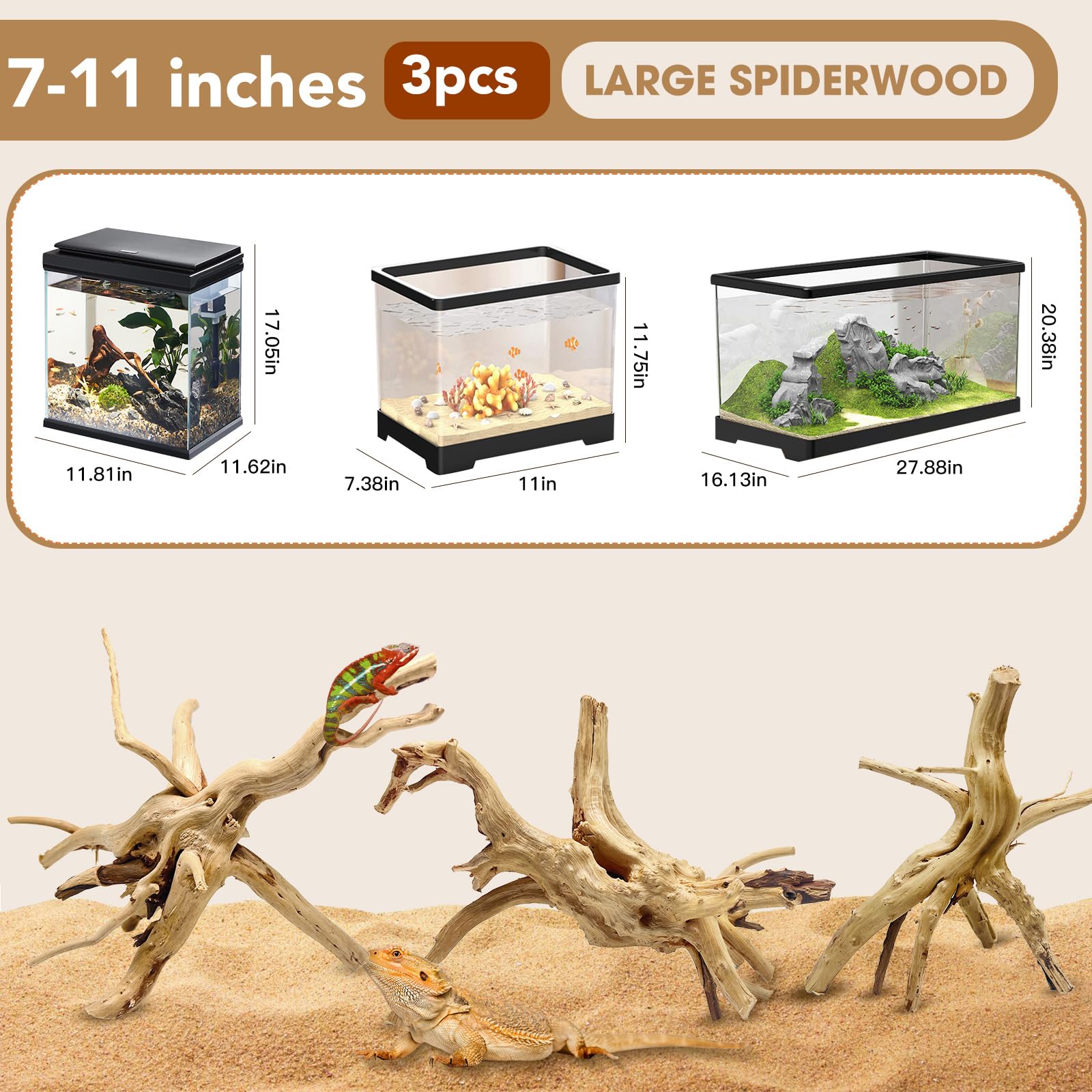Jorewood spiderwood display in aquarium shows versatile decoration for 20-gallon tanks.
