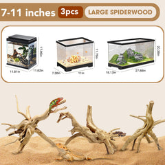 Jorewood spiderwood display in aquarium shows versatile decoration for 20-gallon tanks.