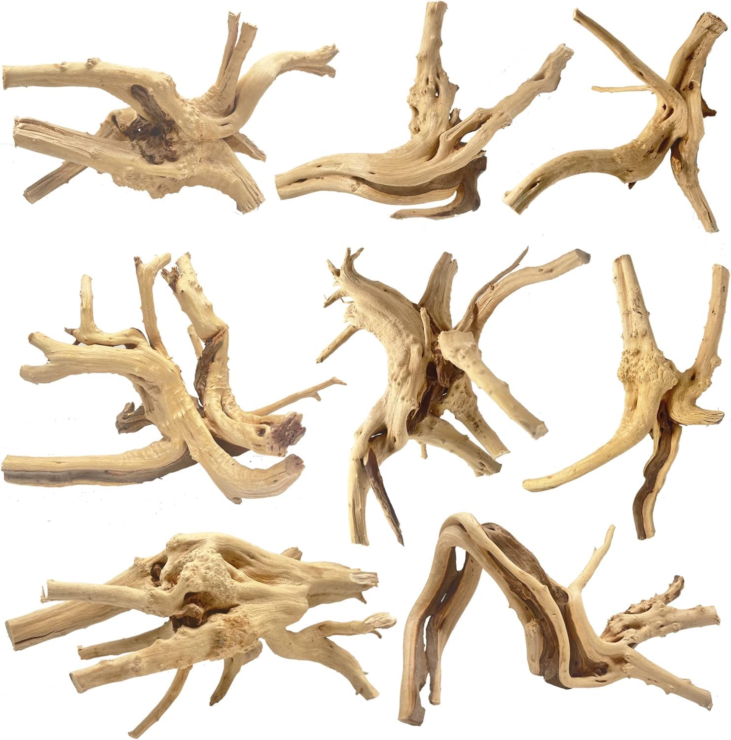 Jorewood spiderwood driftwood in aquarium branch enhances natural look