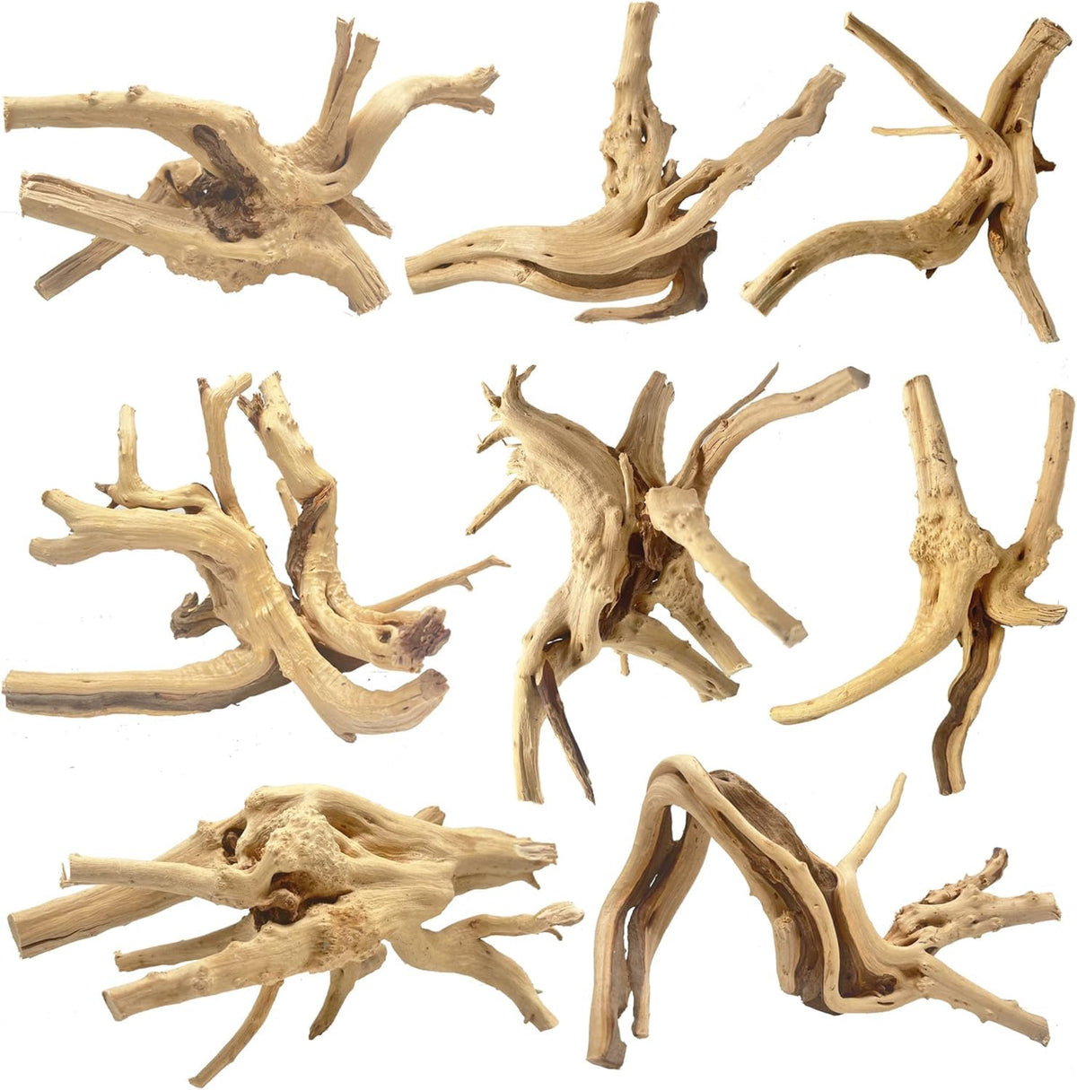 Jorewood spiderwood driftwood in aquarium branch enhances natural look