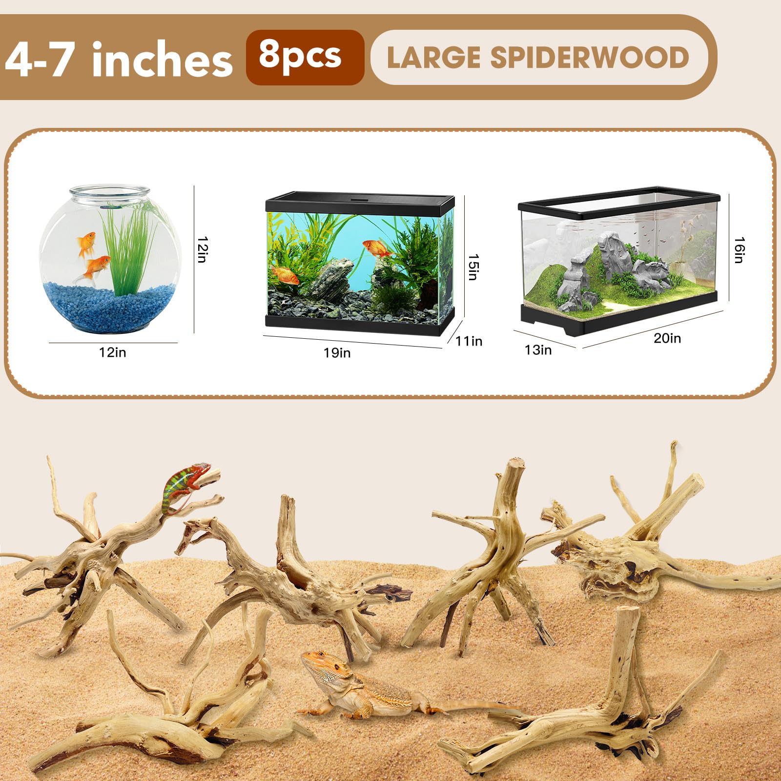Jorewood spiderwood driftwood closeup in tank enhances decor