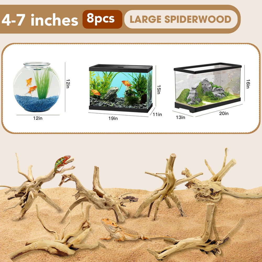 Jorewood spiderwood driftwood closeup in tank enhances decor