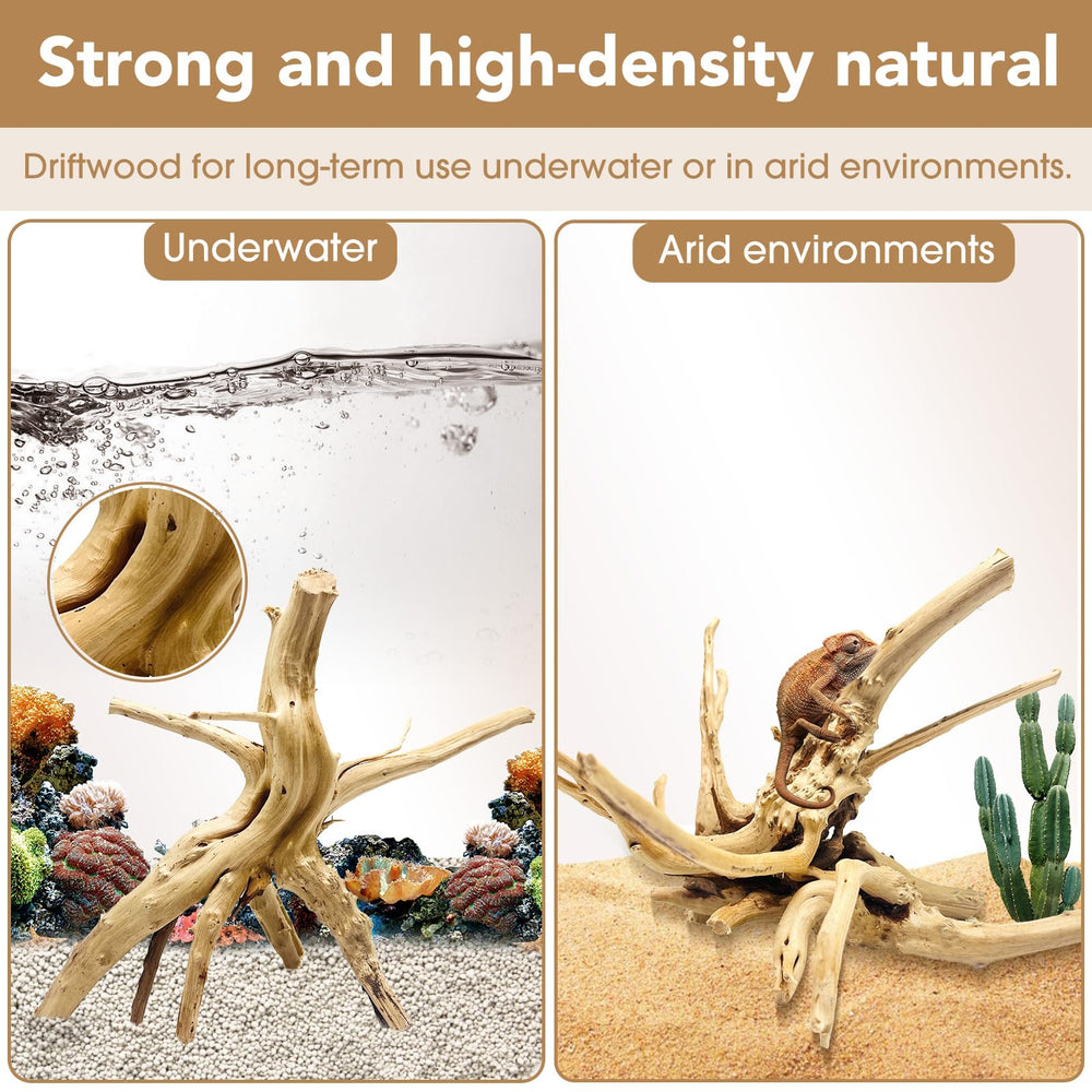 Jorewood spiderwood terrarium decor demonstrates habitat enrichment and climbing opportunities.