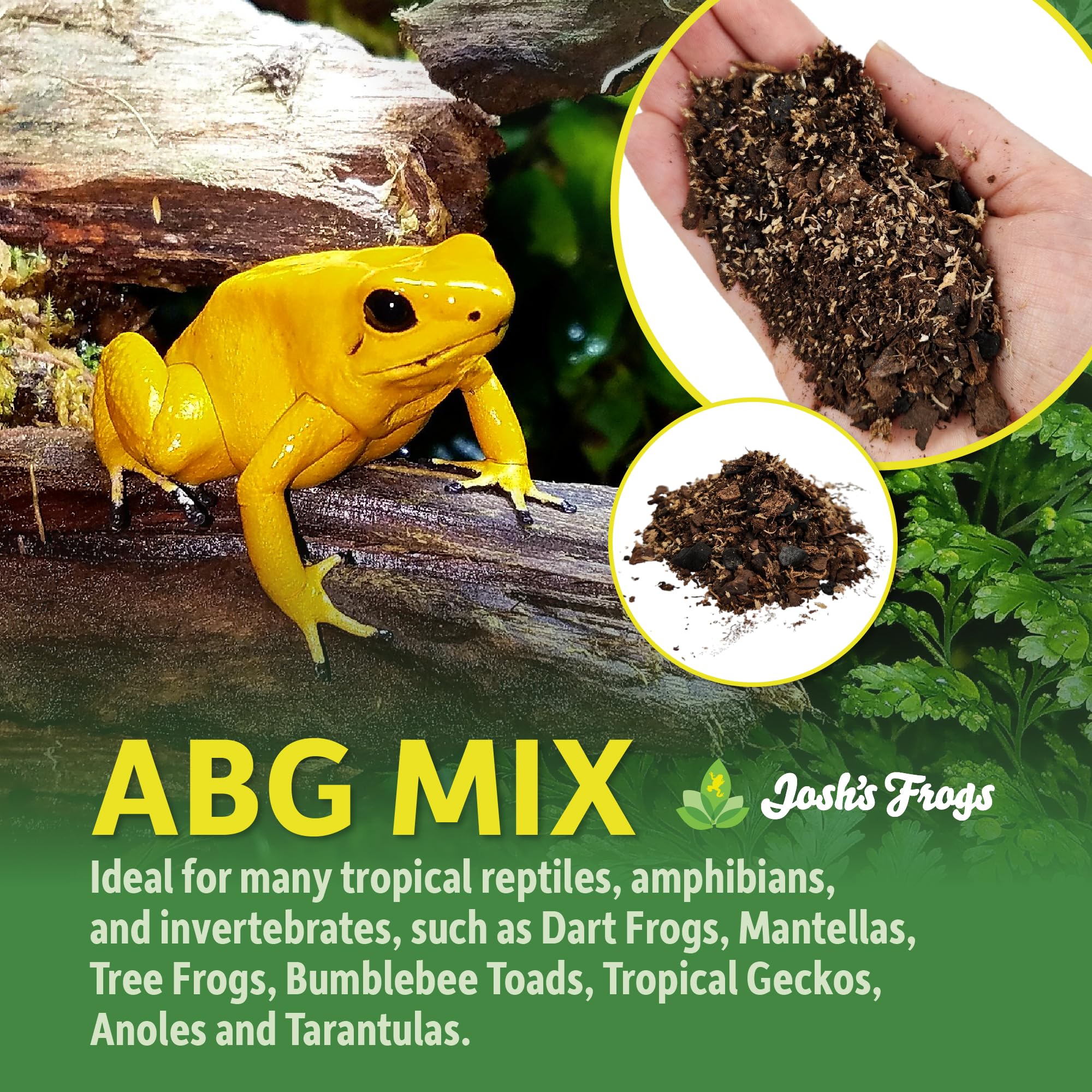Josh's Frogs ABG Mix bioactive substrate promotes a thriving terrarium ecosystem.