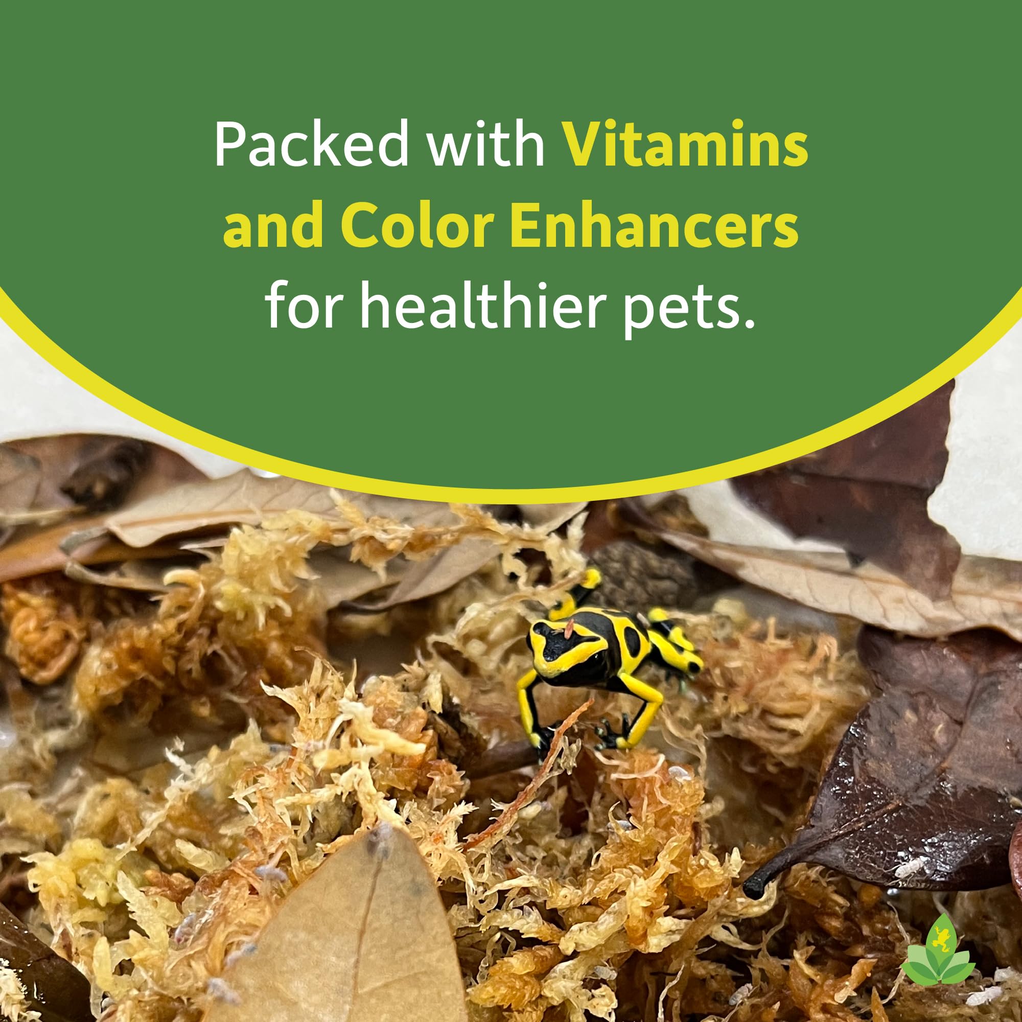Josh's Frogs media supports lizards, frogs, and fish enjoying healthy fruit flies.