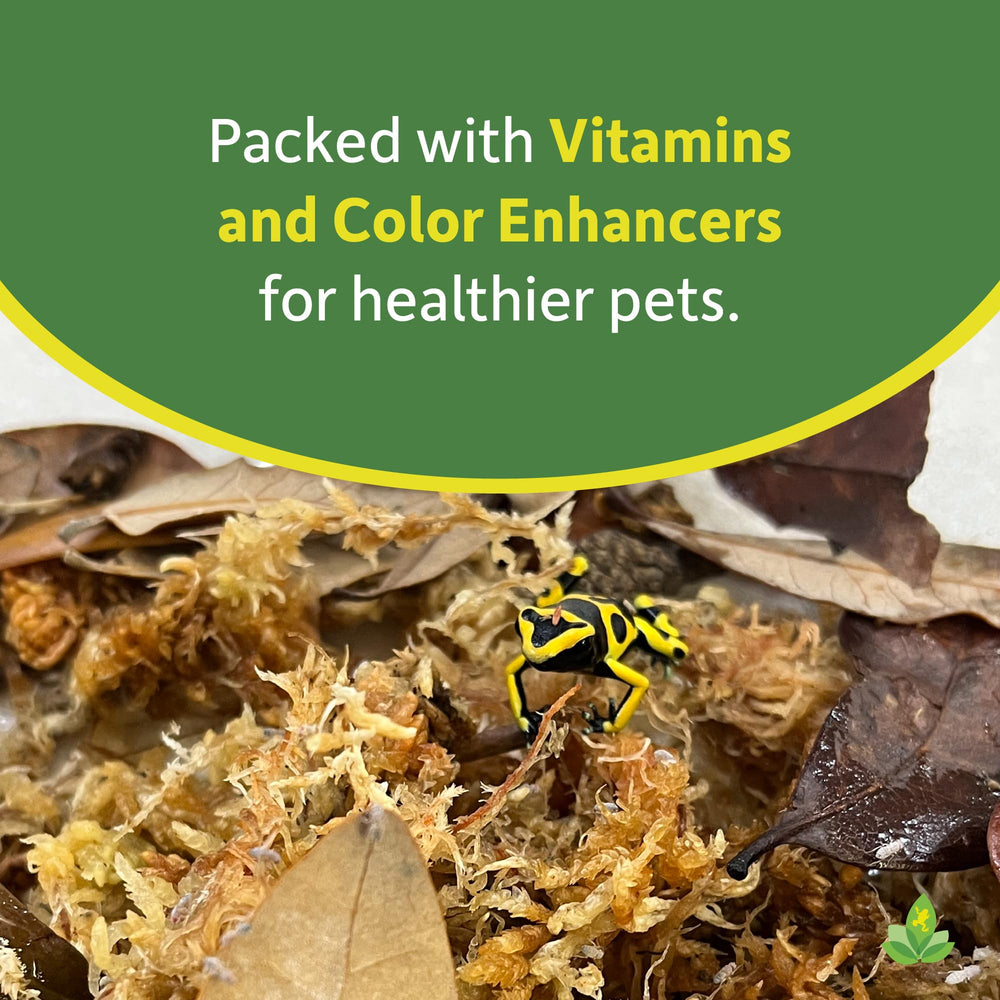 Josh's Frogs media supports lizards, frogs, and fish enjoying healthy fruit flies.