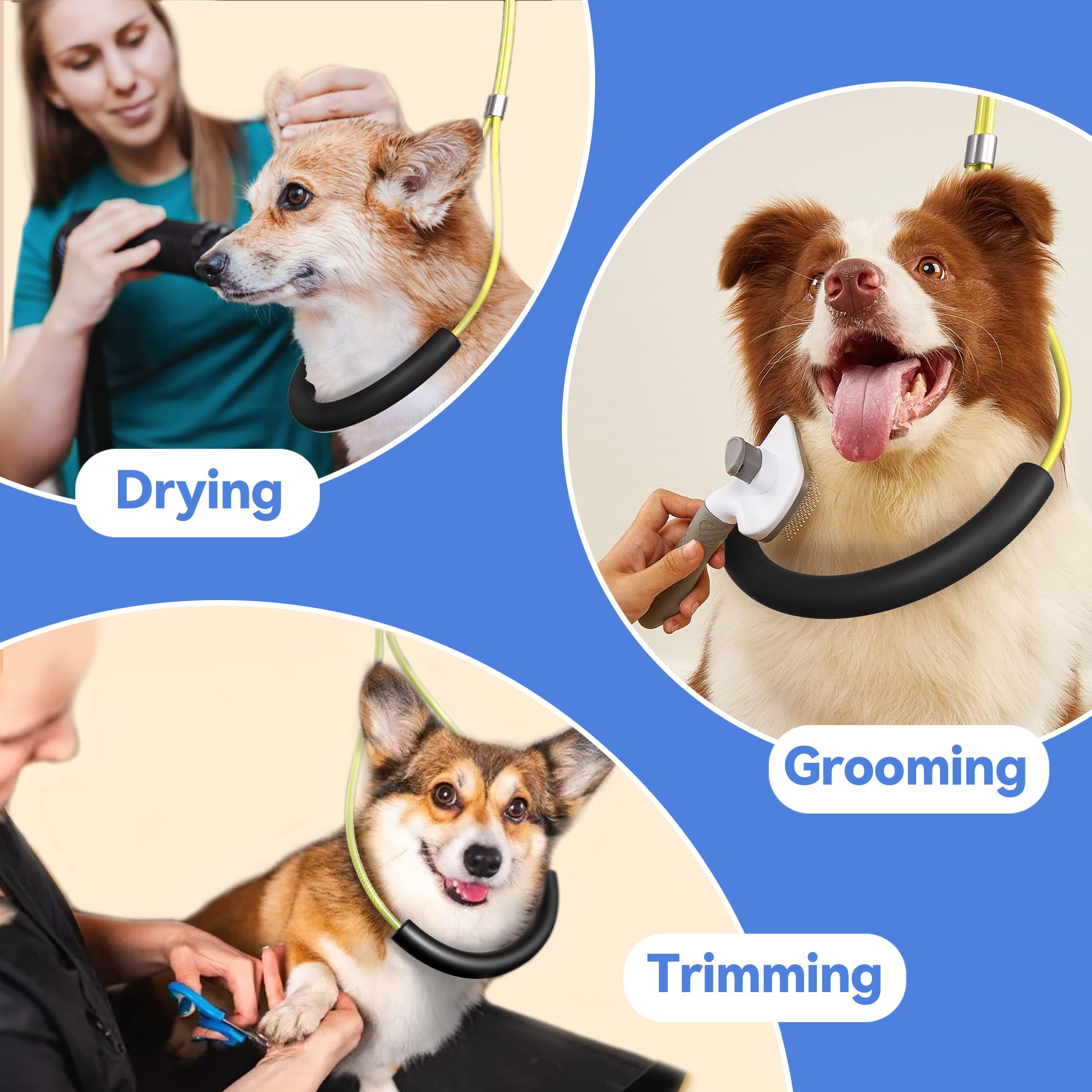 Josmimic grooming setup suitable for home or salon use with clamp.